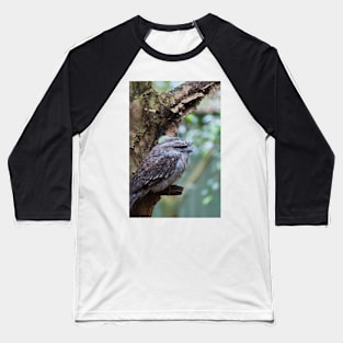 Tawny Frogmouth 1 Baseball T-Shirt